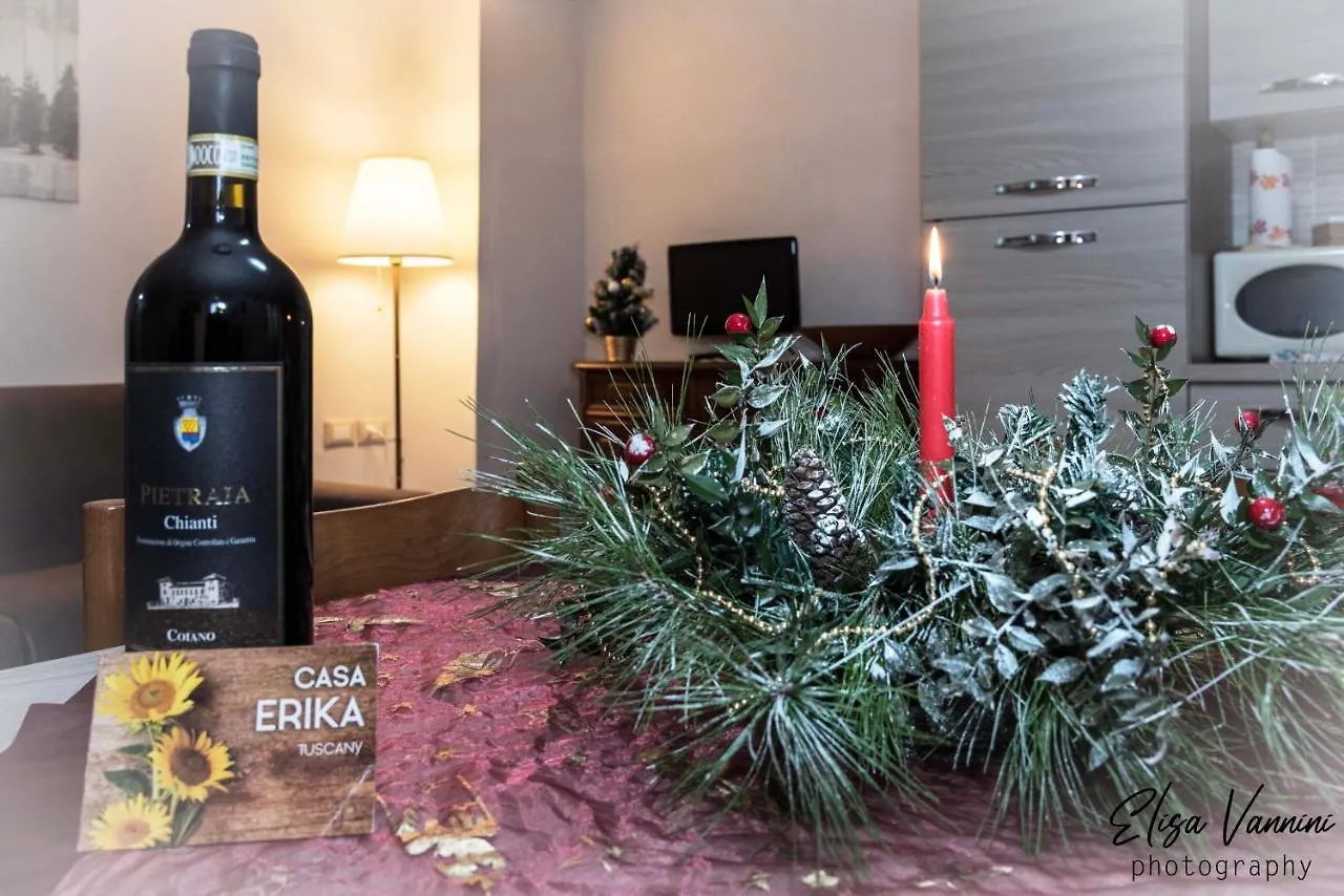 Appartamento Casa Erika Palaia 0*,  Italia